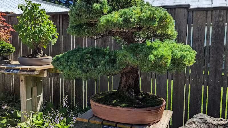 Hidden Lake Gardens - Tipton, MI