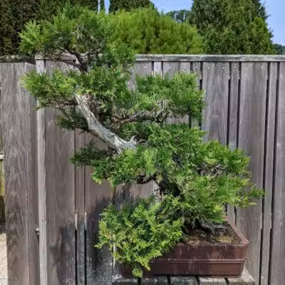 Hidden Lake Gardens - Tipton, MI