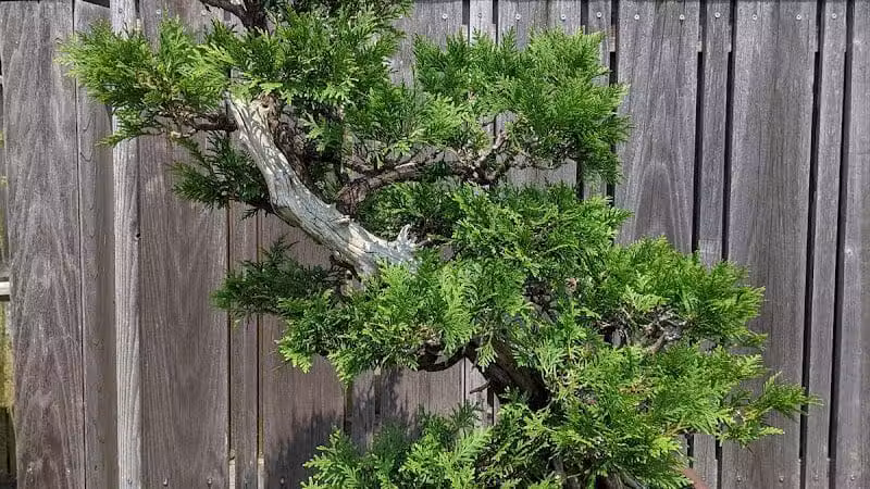 Hidden Lake Gardens - Tipton, MI