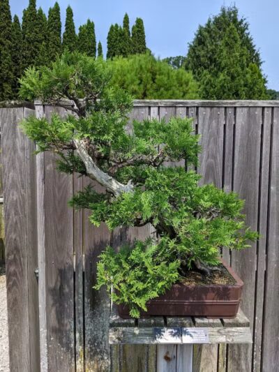 Hidden Lake Gardens - Tipton, MI