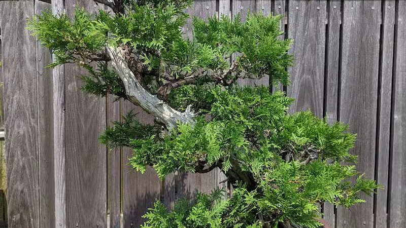 Hidden Lake Gardens - Tipton, MI