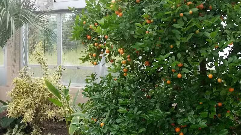 Hidden Lake Gardens - Tipton, MI