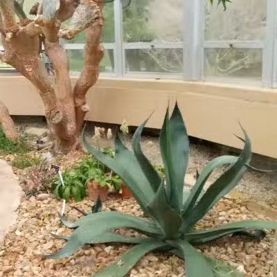 Hidden Lake Gardens - Tipton, MI
