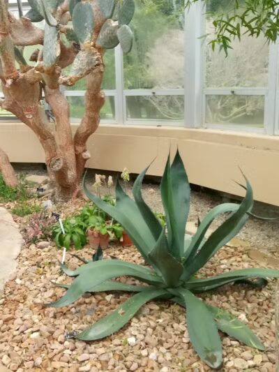 Hidden Lake Gardens - Tipton, MI