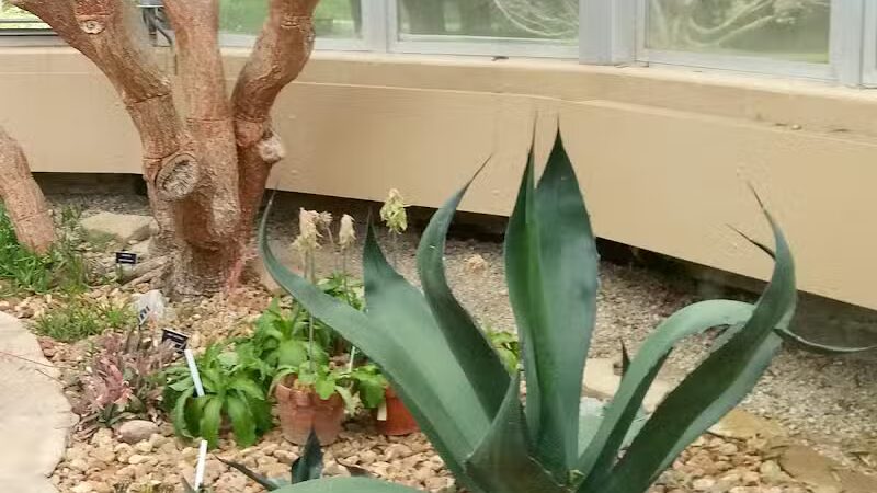 Hidden Lake Gardens - Tipton, MI