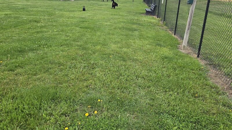 Cicero Township Dog Park - Tipton, IN