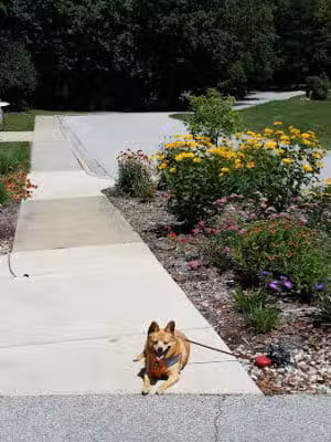 Hidden Lake Gardens - Tipton, MI