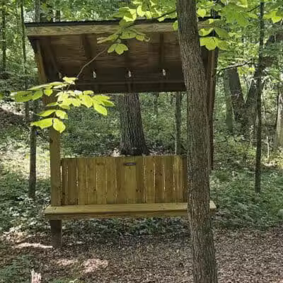 Sky Walk - Tipton, MI