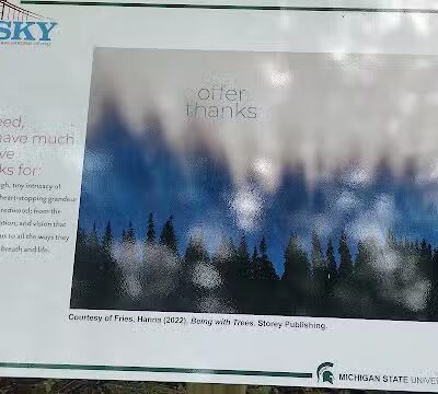 Sky Walk - Tipton, MI