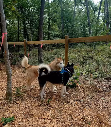 Raymond F Jones Memorial Dog Park - Tiverton, RI