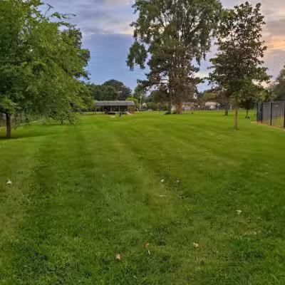 Glass City Dog Park (Membership Required) - Toledo,
