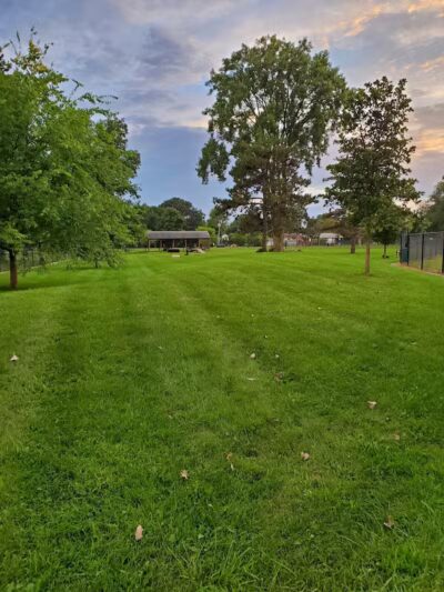 Glass City Dog Park (Membership Required) - Toledo,