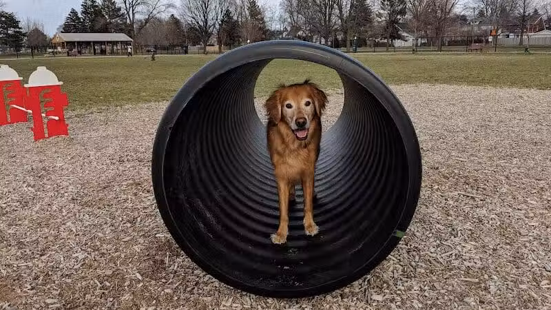 Glass City Dog Park (Membership Required) - Toledo,