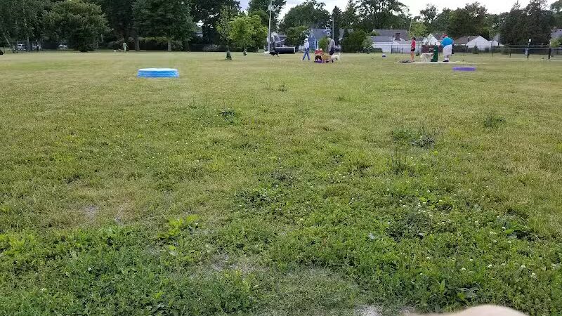 Glass City Dog Park (Membership Required) - Toledo,