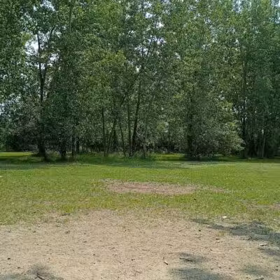 Middlegrounds Dog Park - Toledo,