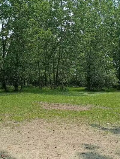 Middlegrounds Dog Park - Toledo,