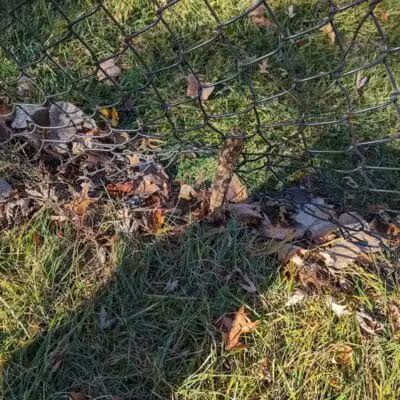 The Bark Park - Toledo,