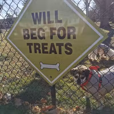 The Bark Park - Toledo,
