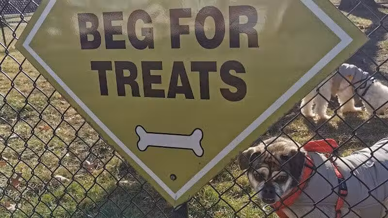 The Bark Park - Toledo,