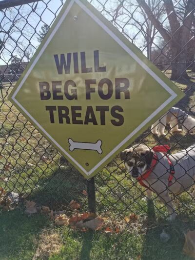 The Bark Park - Toledo,