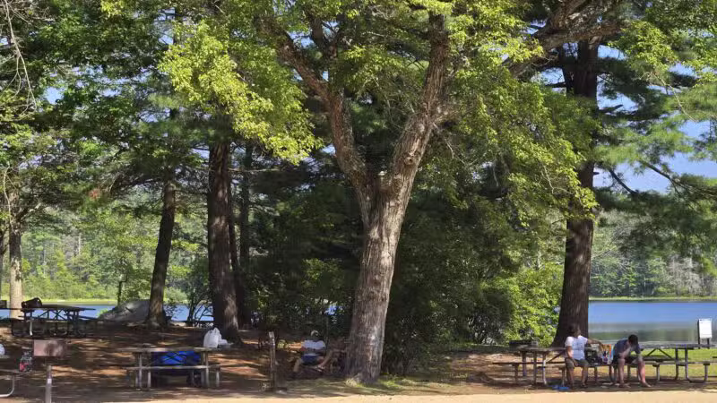 Burr Pond State Park - Torrington, CT