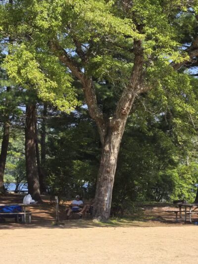 Burr Pond State Park - Torrington, CT