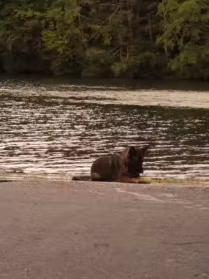 Burr Pond State Park - Torrington, CT