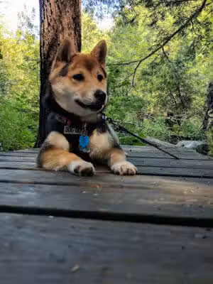 Sunnybrook State Park - Torrington, CT