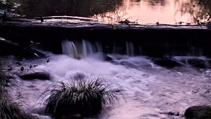 Sunnybrook State Park - Torrington, CT