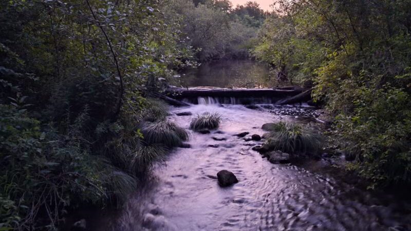 Sunnybrook State Park - Torrington, CT