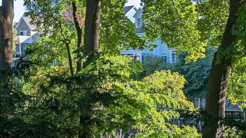 American Legion Park - Traverse City,