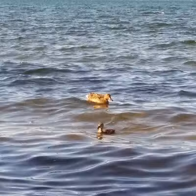 M.C. Beach - Traverse City,