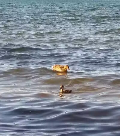 M.C. Beach - Traverse City,