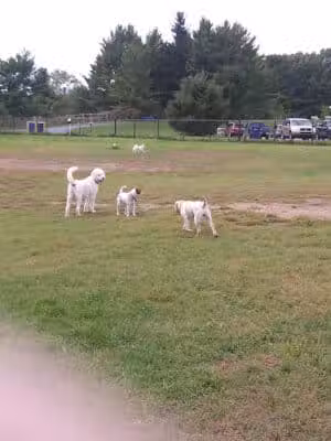 Silver Lake Recreation Area - Traverse City,