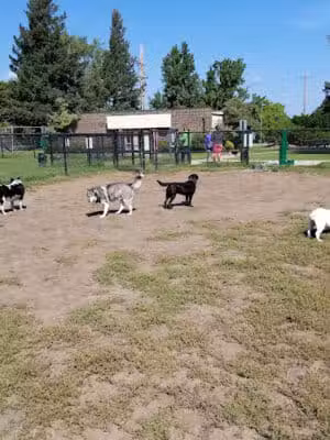 Wags West Dog Park - Traverse City,