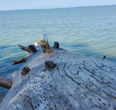 Old Mission Point Park - Ridgewood Trailhead - Traverse City,