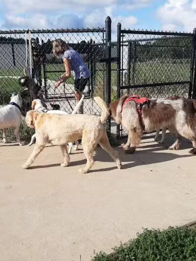 Silver Lake Recreation Area - Traverse City,
