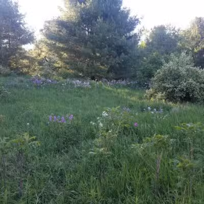 Silver Lake Recreation Area - Traverse City,