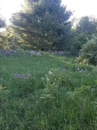 Silver Lake Recreation Area - Traverse City,