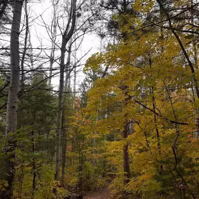 Silver Lake Recreation Area - Traverse City,