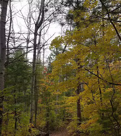 Silver Lake Recreation Area - Traverse City,