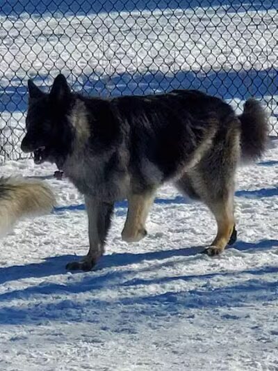 Silver Lake Recreation Area - Traverse City,