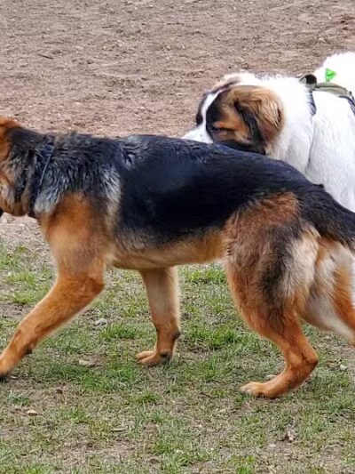 Silver Lake Recreation Area - Traverse City,