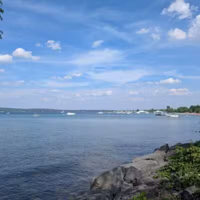 Wags West Dog Park - Traverse City,