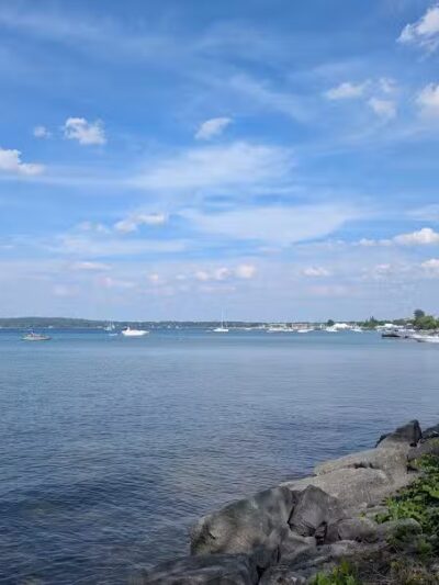 Wags West Dog Park - Traverse City,