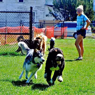 Wags West Dog Park - Traverse City,