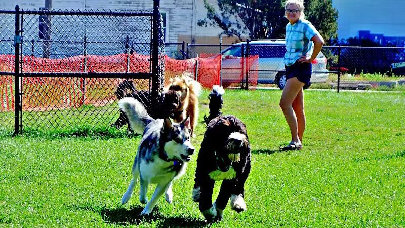 Wags West Dog Park - Traverse City,