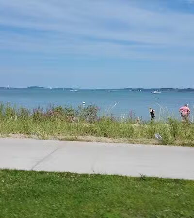 Wags West Dog Park - Traverse City,