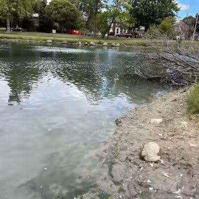 Elizabeth Park - Trenton,