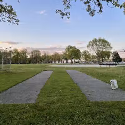 Elizabeth Park - Trenton,